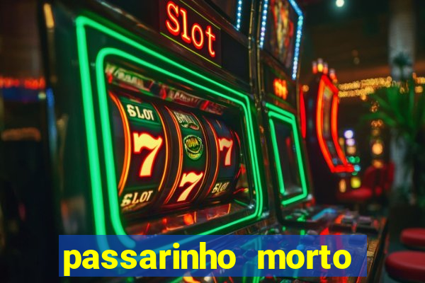 passarinho morto significado espiritual